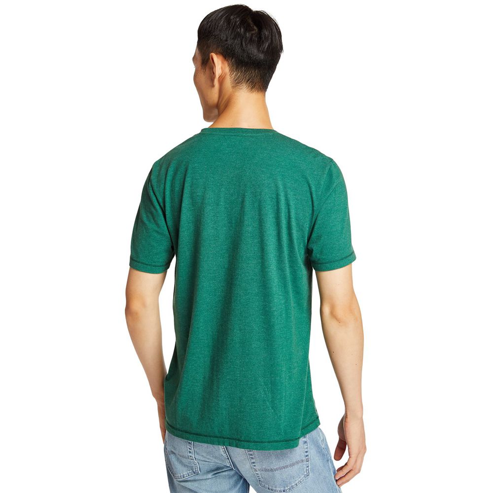 Camisetas Masculino - Timberland Mohawk River Jersey - WEFOV1509 - Verdes